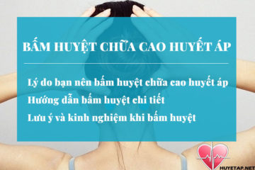 huong-dan-bam-huyet-chua-cao-huyet-ap