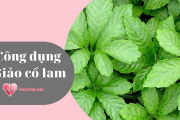 cong-dung-giao-co-lam