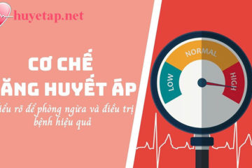 co-che-tang-huyet-ap