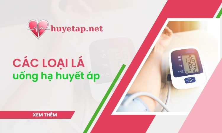 7 loại lá uống hạ huyết áp ngay trong ngôi nhà của bạn 1